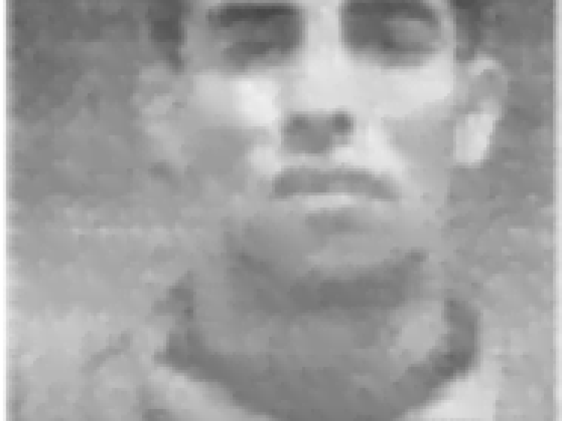 Mehadi Mustapha