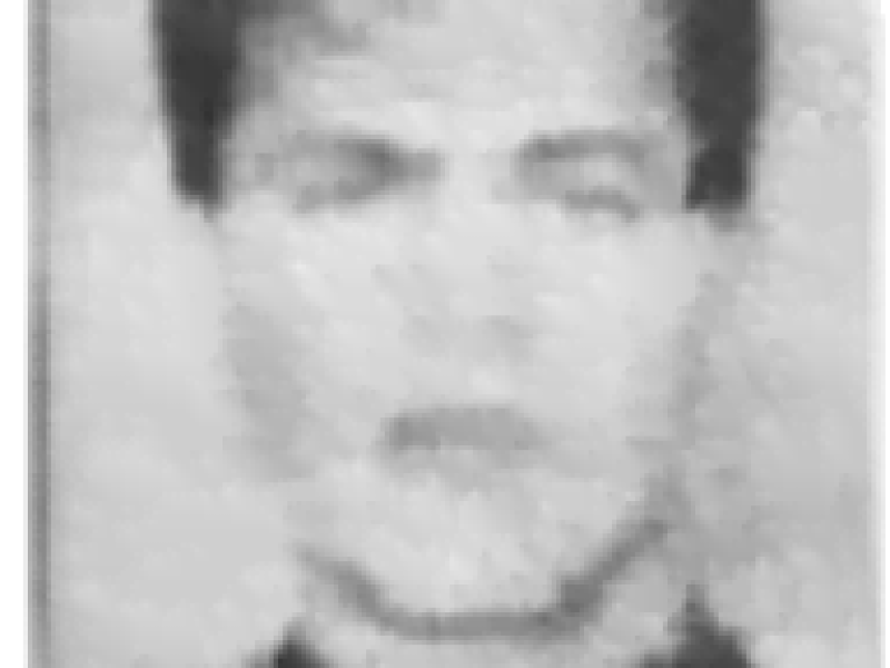 Saidani Djamal
